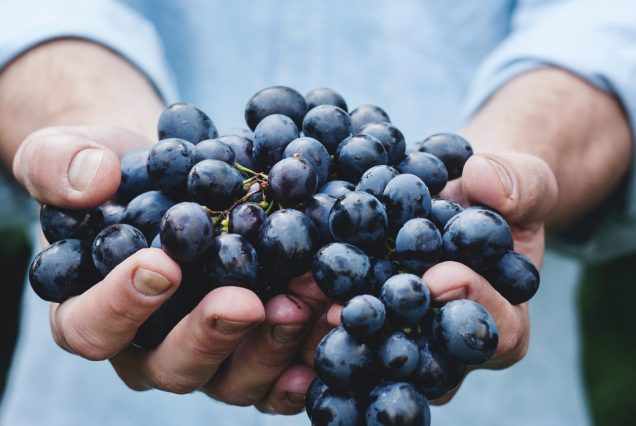Mendoza - Octubre y Noviembre(Bus)