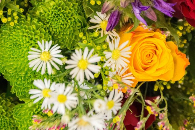 Fiesta de la Flor (BA) - 5 Octubre (Bus)